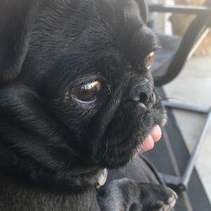 Meet your Posher, Ashanti